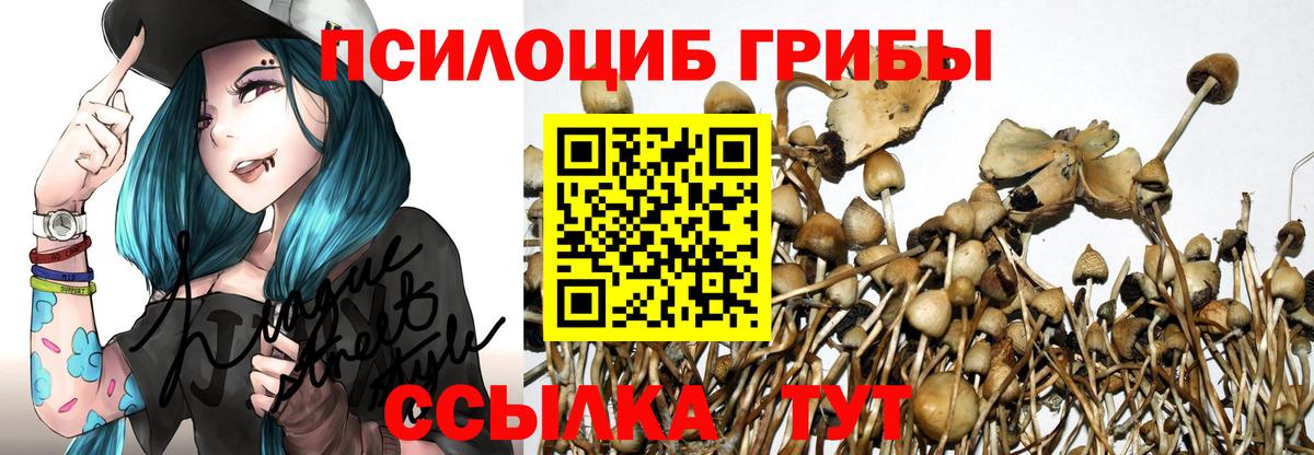 Галлюциногенные грибы Psilocybe  Вход с VPN  цена   Псилоцибиновые грибы мухоморы  Феодосия 