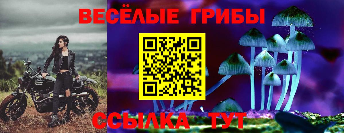 Галлюциногенные грибы Psilocybine cubensis Феодосия